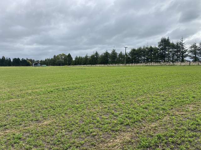 Bristol Road Pareora_3