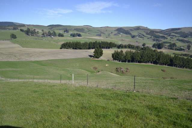 Waitepeka School Road Clutha_3