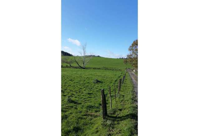 462 Kahikatea Flat Road Waitoki_4
