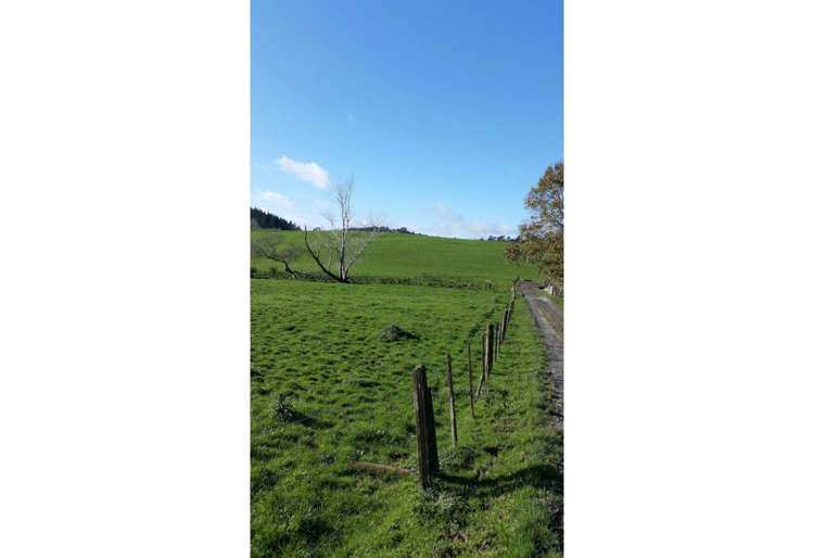 462 Kahikatea Flat Road Waitoki_4