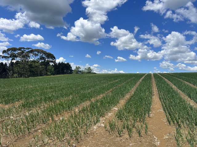 76 Brookside Road Glenbrook_2