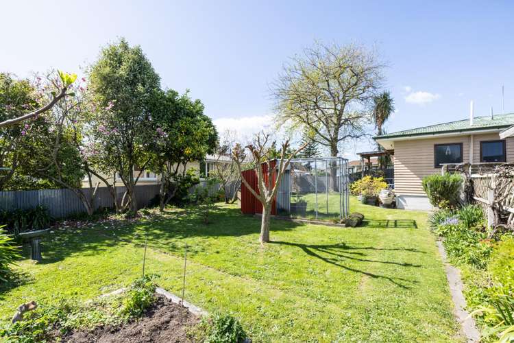 4a Goddard Lane Havelock North_7