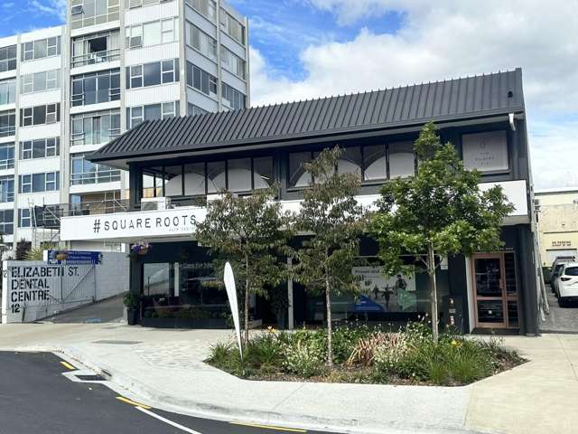 12 Elizabeth Street Tauranga_4