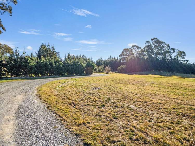 87 Sladdens Bush Road Coopers Creek_9