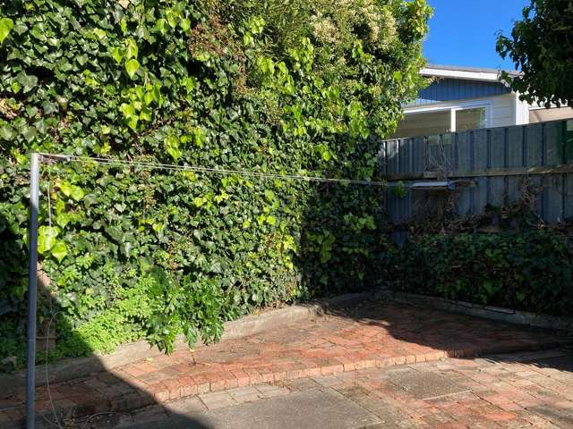 46B Copeland Street Hutt Central_3