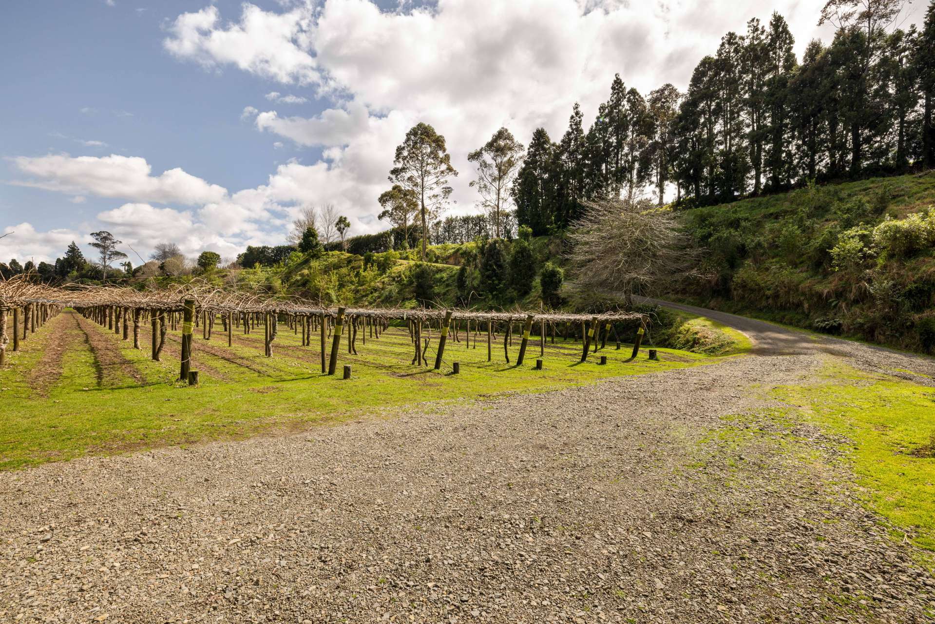 325 Te Matai Road Te Puke_0