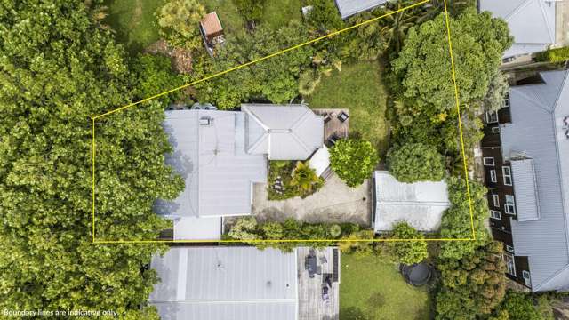 71 Francis Street Grey Lynn_2