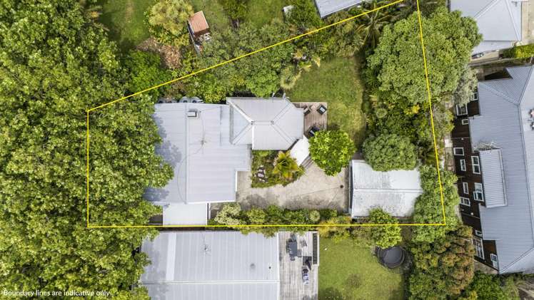 71 Francis Street Grey Lynn_2