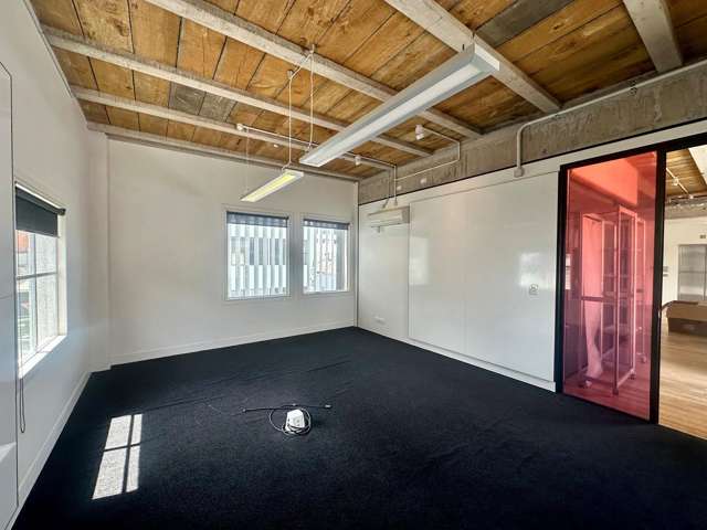 7 Falcon Street Parnell_3