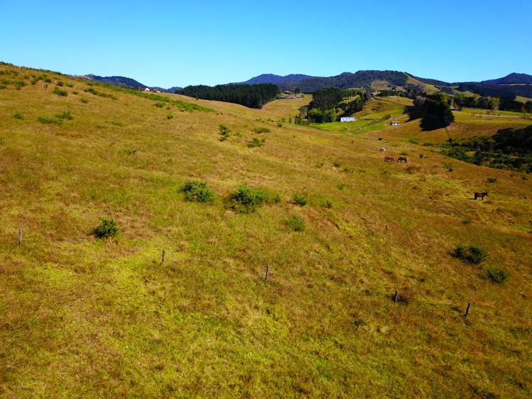 359b Kaitaia Awaroa Rd Kaitaia Rd1_38