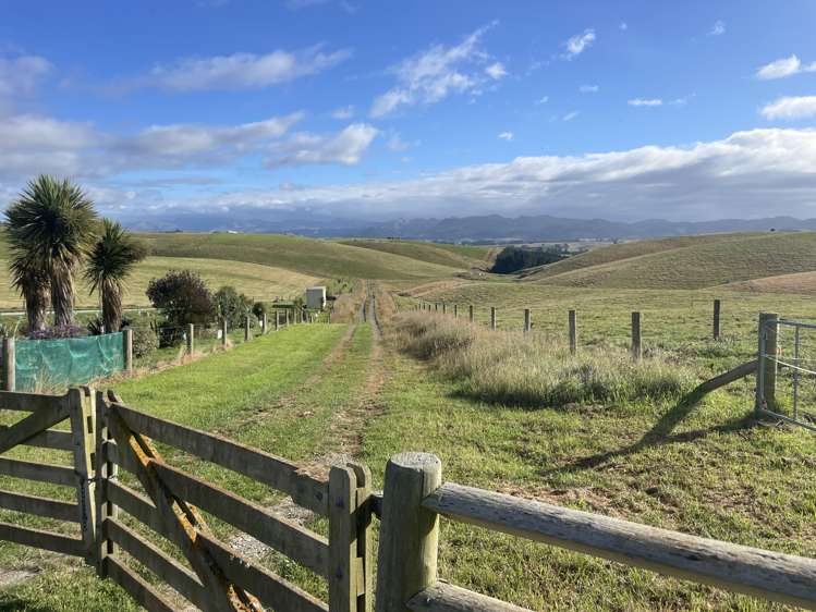 3/220 Taieri Peak Road Palmerston_1