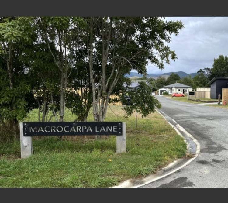 6A Macrocarpa Lane Carterton_14