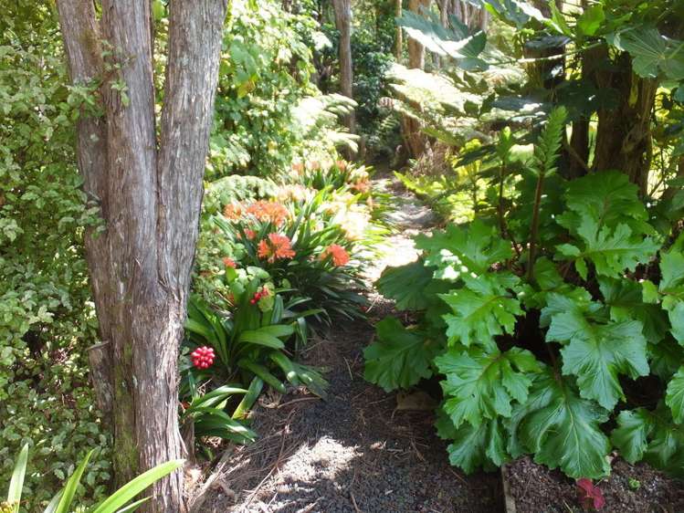 93 Tarapatiki Drive Whitianga_29