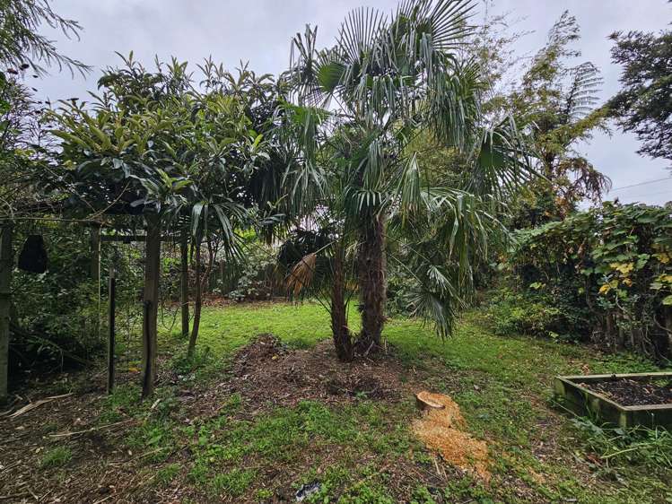 7 Dover Street Levin_15