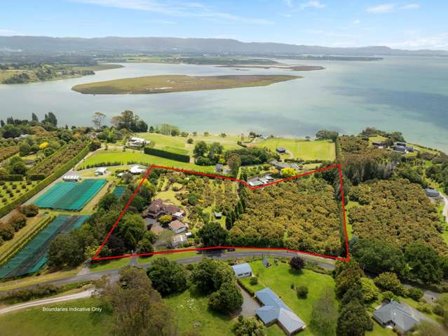 289 Pahoia Road Whakamarama_2