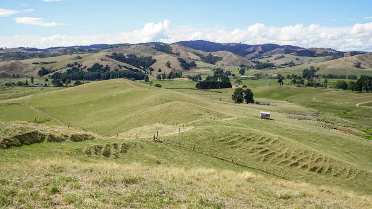 2586 State Highway 2 Maramarua_20