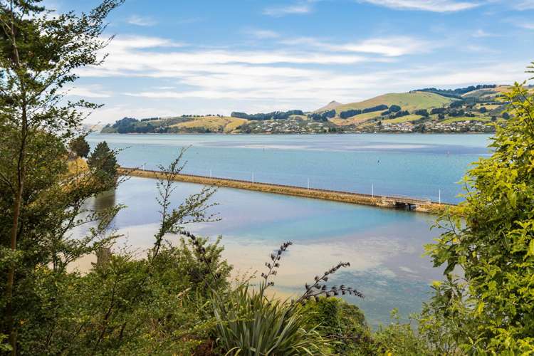 1A Burkes Drive Saint Leonards_18