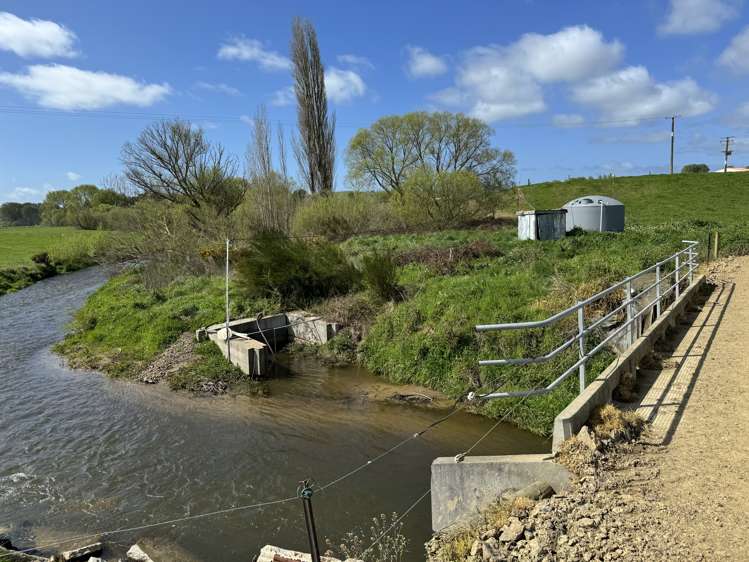 260 Maihiihi Road Maihiihi_8