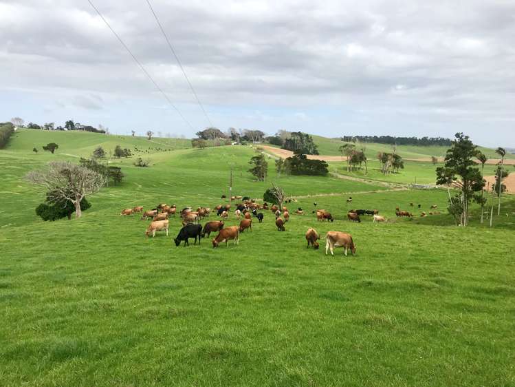 216 Morrison Road Arapohue_9