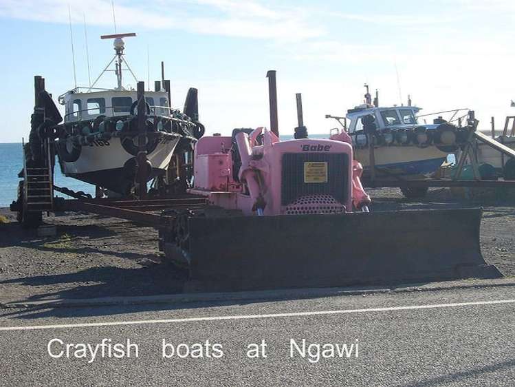 3101 Ngawi Drive Cape Palliser_16