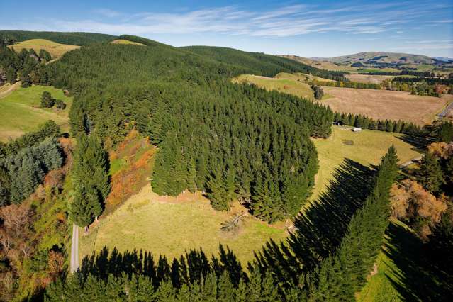 8P Davaar Road Greta Valley_2