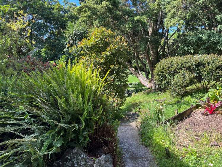 3/21a Malvern Road Morningside_11