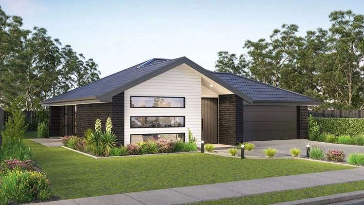 Lot 81_0