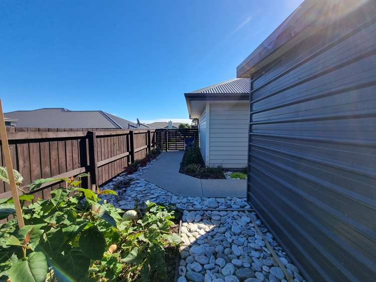 9 Higgins Place Paroa_22