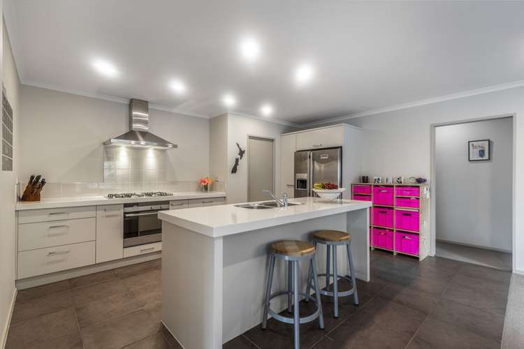 8 Vin Alto Drive Flat Bush_7