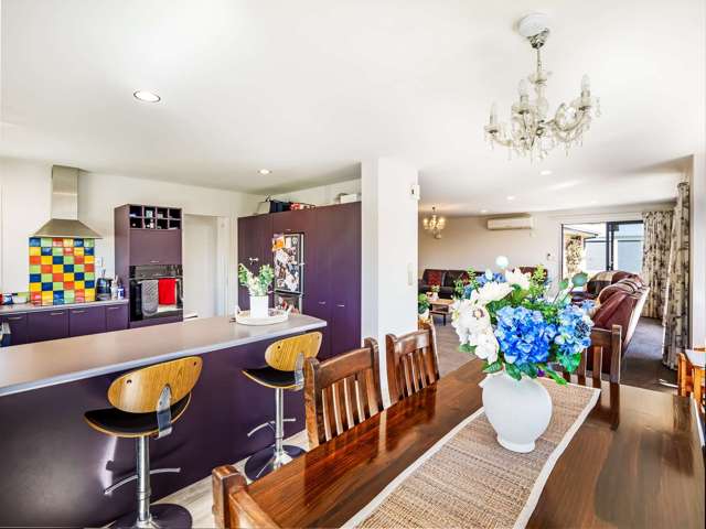 9 Millichamp Street Tinwald_4