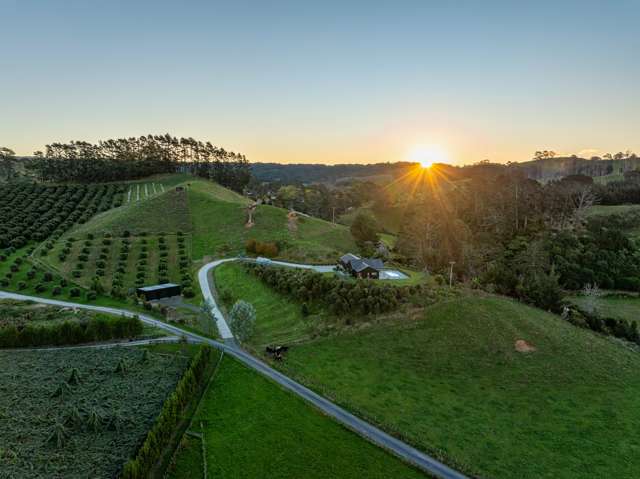 495A Crawford Road Te Puna_3