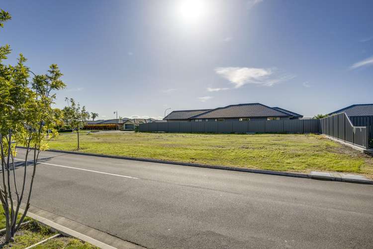250 Guppy Road Taradale_3