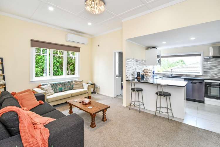 2C Waiari Road Conifer Grove_8