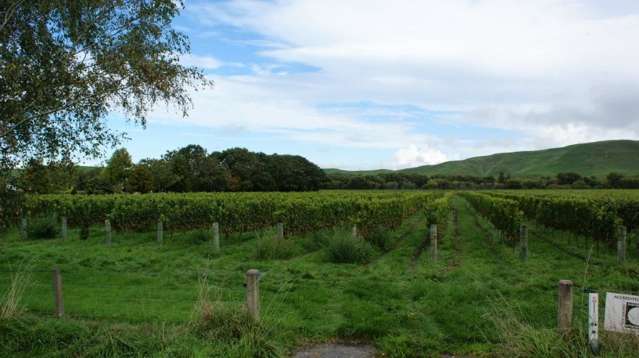 483 Dartmoor Road Puketapu_2