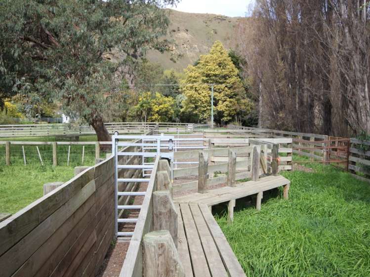 528 Ram Paddock Road Broomfield_9