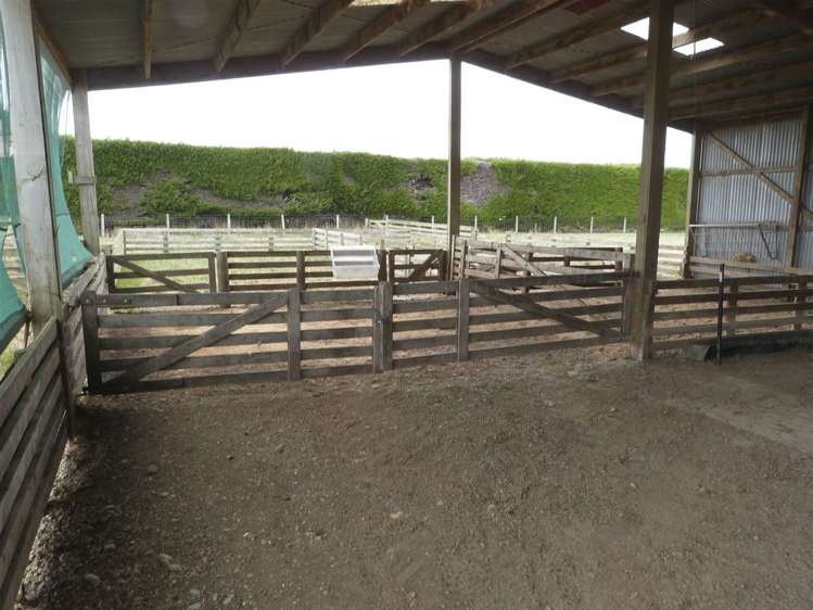 219 Robertson Road Winton Surrounds_24