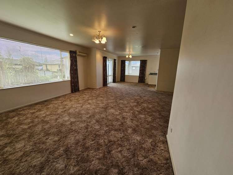 17 Lansdowne Street Mayfield_4