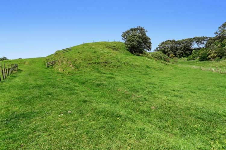 59 Pohutukawa Drive Opotiki and Surrounds_13