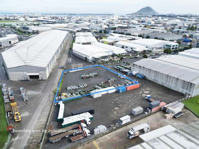 Secure Yard Space Mount Maunganui