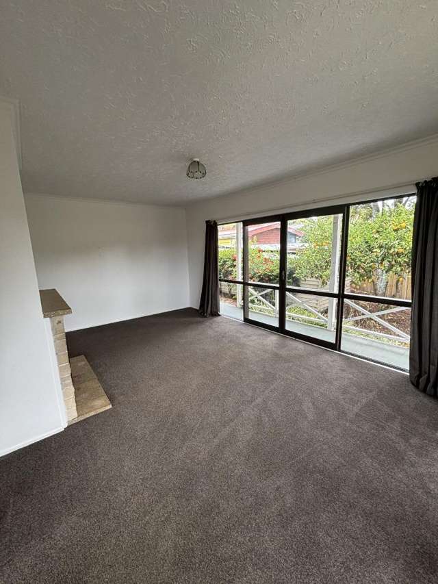 35A Manson Avenue 10816_4