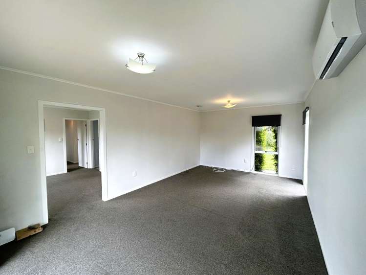 709 Te Rahu Rd 11385_3