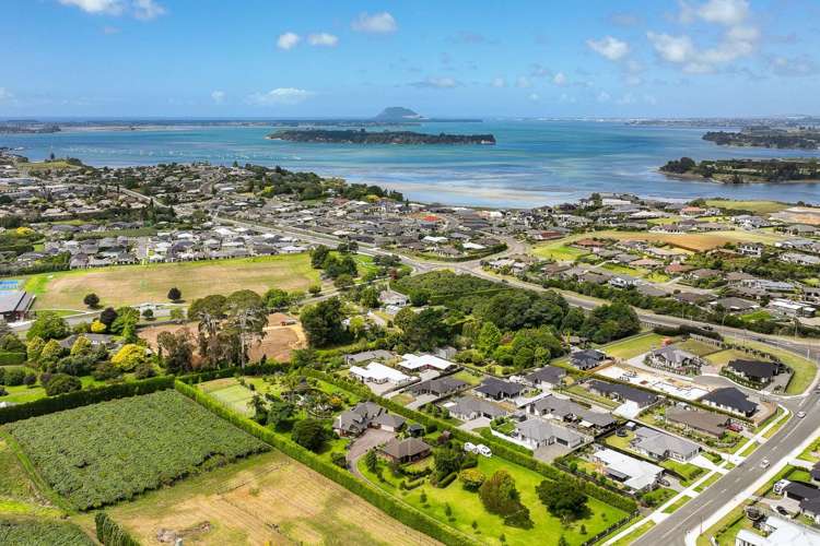 20 Kayelene Place Omokoroa_15