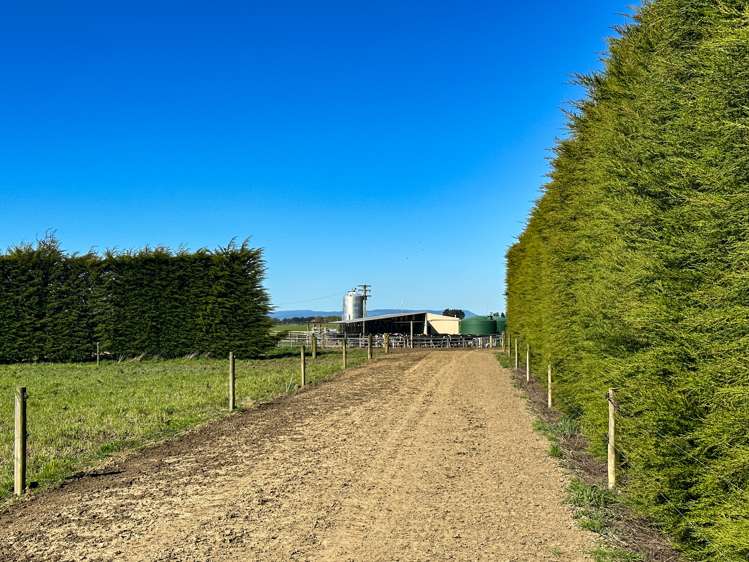 793 Edendale Woodlands Highway Winton Surrounds_12