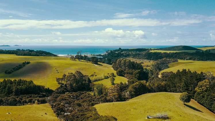 785d Purerua Road Kerikeri Surrounds_1