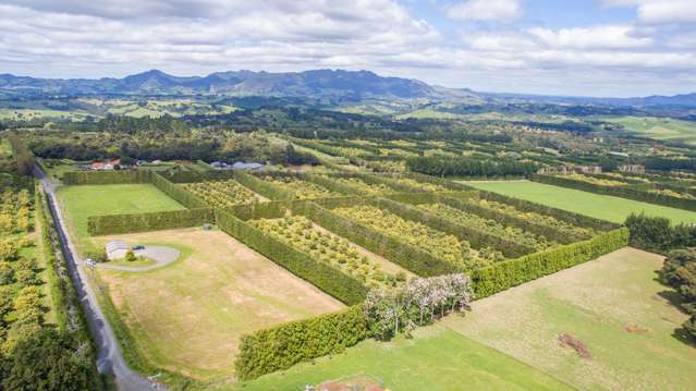 143 Norris Road Maungatapere_1