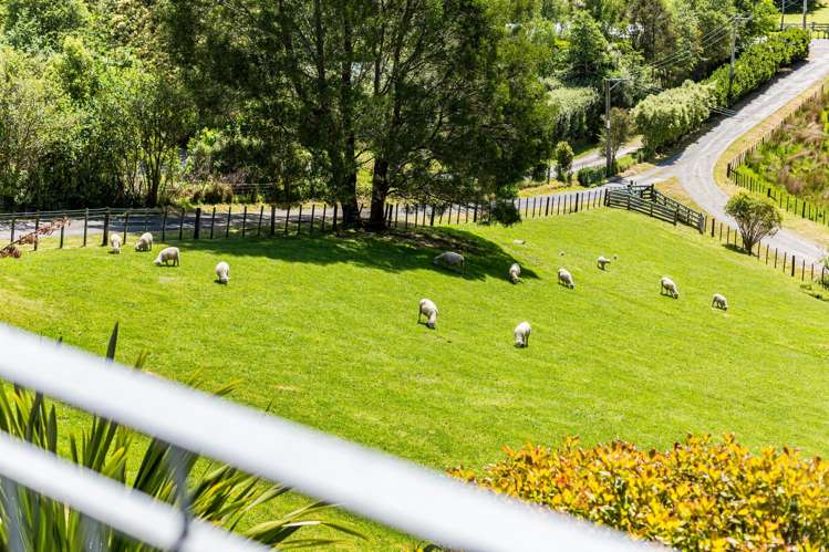 155A Katherine Mansfield Drive Whitemans Valley_26