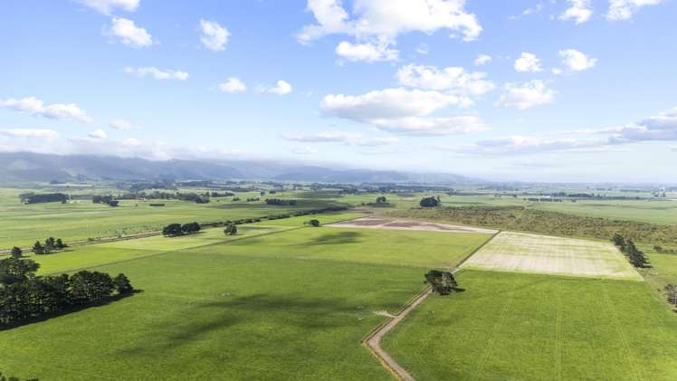 129-139 Tamatarau Road Tokomaru_4