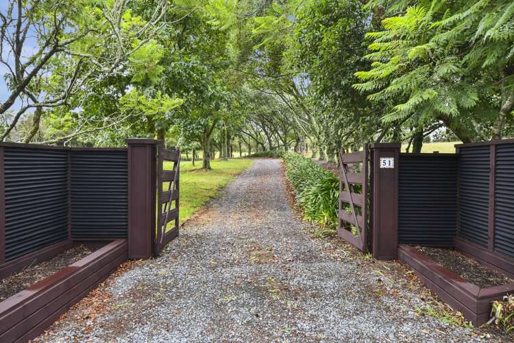 51 Klipsch Road Glenbrook_6