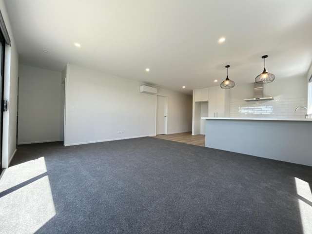 63 Waiotahi Road Kaiapoi_3
