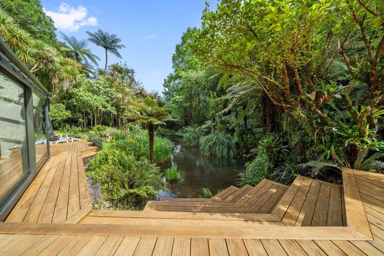 11 Kereru Place Upper Vogeltown_20